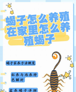 立体养花，节省空间，美化环境