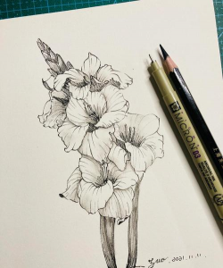 速写花卉，捕捉瞬间之美，提升绘画技巧