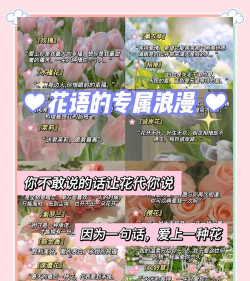 养花寄语，传递美好情感，点缀生活空间