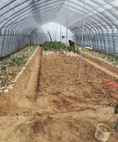 养殖致富新项目，选择方向多，收益潜力大