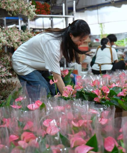 养殖致富新项目，选择方向多，收益潜力大