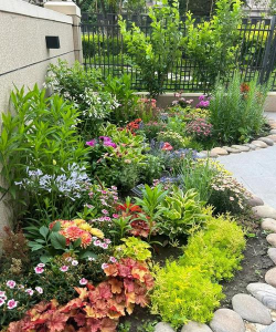 花卉景观，打造美丽庭院，提升生活品质