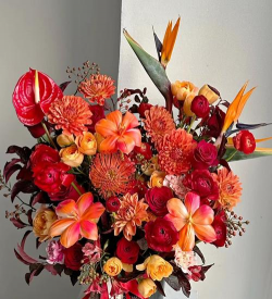 红色花卉，点亮家居氛围，增添生活色彩