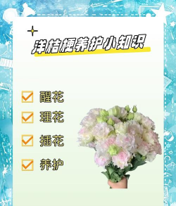 养殖致富新项目，选择方向多，收益潜力大