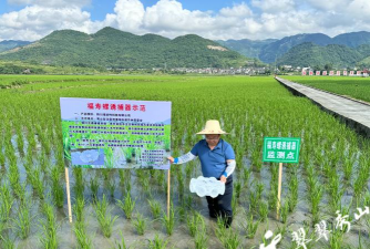 绿植花卉批发，货源怎么找，价格怎么谈