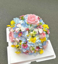 绿植花卉批发，货源怎么找，价格怎么谈