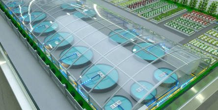 绿植花卉批发，货源怎么找，价格怎么谈