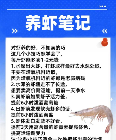 养殖致富新项目，选择方向多，收益潜力大