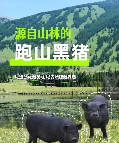 纯净水可以养花吗，了解水质影响，掌握正确方法