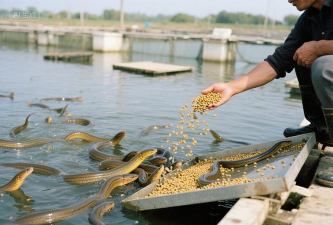 养花的诗句，传递生活情感，点缀日常美好