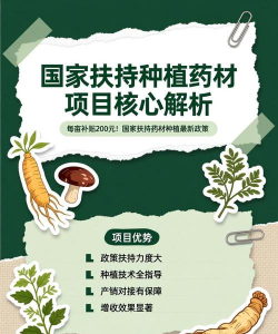 养花的诗句，传递生活情感，点缀日常美好