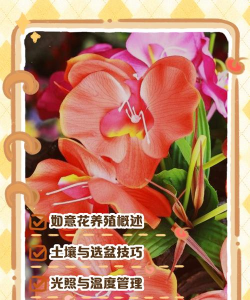 养花的诗句，传递生活情感，点缀日常美好