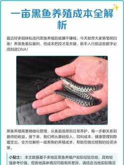 养花的诗句，传递生活情感，点缀日常美好