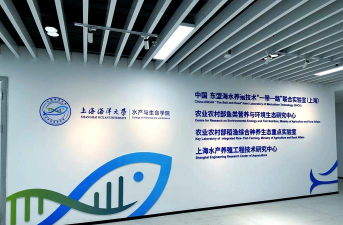 养殖致富新项目，选择方向多，收益潜力大