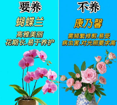 阅读养花，提升生活情趣，享受种植乐趣