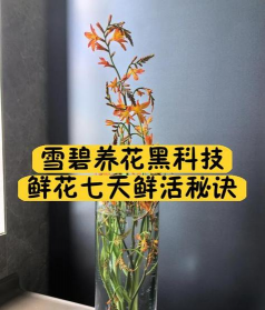 阅读养花，提升生活情趣，享受种植乐趣