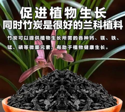 阅读养花，提升生活情趣，享受种植乐趣