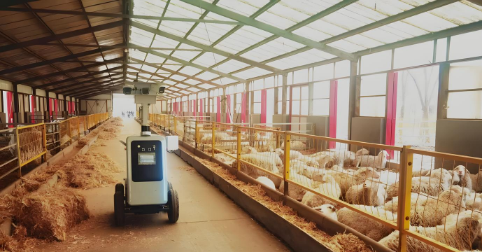 自动化养殖系统，提升养殖效率，降低人工成本