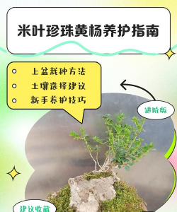 养殖致富新项目，选择方向多，收益潜力大
