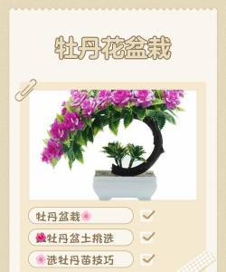 养殖致富新项目，选择方向多，收益潜力大