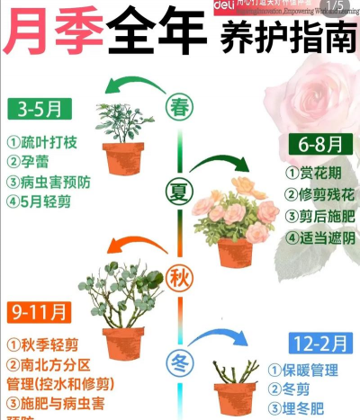养殖致富新项目，选择方向多，收益潜力大