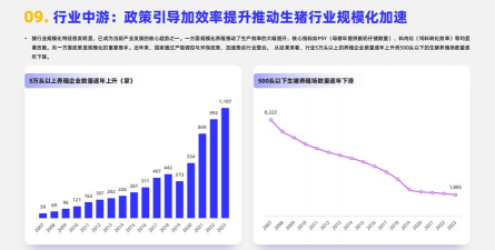 养殖前景，市场潜力大，投资风险低
