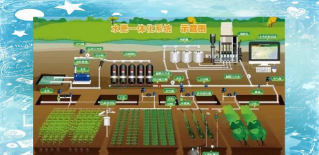 肥水养殖,提升产量,优化水质管理 肥水养殖,提升产量,优化水质管理