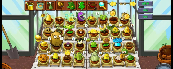 养殖致富新项目，选择方向多，收益潜力大