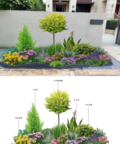 养殖致富新项目，选择方向多，收益潜力大