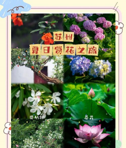 养殖致富新项目，选择方向多，收益潜力大