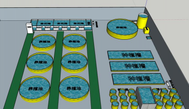 循环水养殖系统，提升养殖效率，降低环境影响