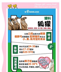 特种动物养殖，市场前景广阔，新手入门指南