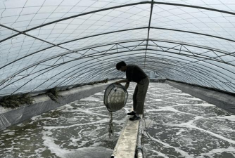 阅读养花，提升生活情趣，享受种植乐趣