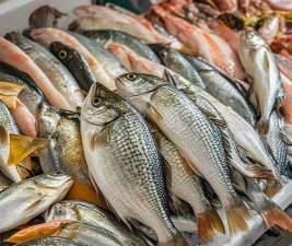 六月雪的养殖方法和注意事项，轻松上手，花开满枝