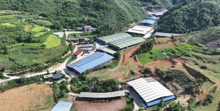 贵州牛养殖场，选址关键，管理要点