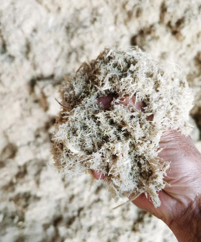 甘蔗渣养花，废物利用，省钱又环保