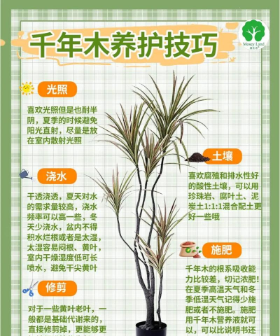 纯净水可以养花吗，了解水质影响，掌握正确方法