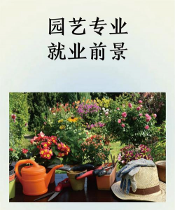 纯净水可以养花吗，了解水质影响，掌握正确方法