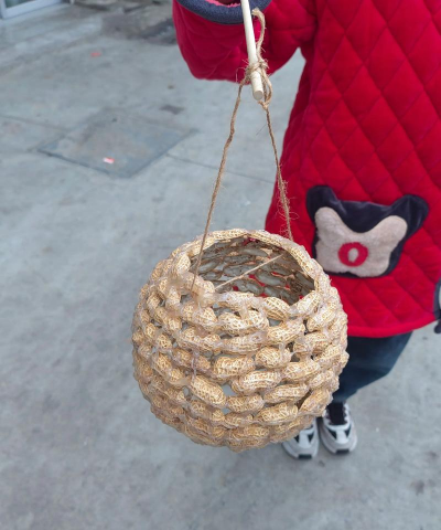 家里养花的心情说说，分享美好瞬间，感受生活温暖