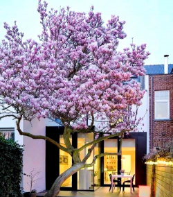 山东水产养殖，提升养殖效益，掌握关键技术