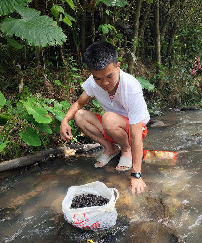 梦见养花是什么意思，常见梦境解析，心理暗示解读
