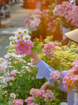 人养花花养人，美化生活，滋养心灵