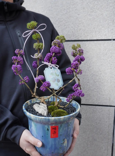 梦见养花是什么意思，常见梦境解析，心理暗示解读