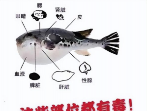 养花知识大全及图片，新手入门指南，常见问题解答