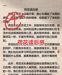 养花知识大全及图片，新手入门指南，常见问题解答