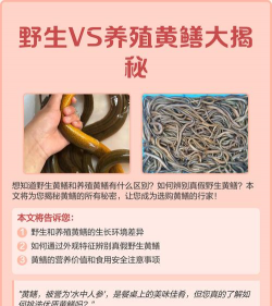 养花知识大全及图片，新手入门指南，常见问题解答