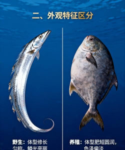 阅读养花，提升生活情趣，享受种植乐趣