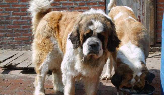 山东水产养殖，提升养殖效益，掌握关键技术