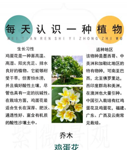 养花知识大全及图片，新手入门指南，常见问题解答