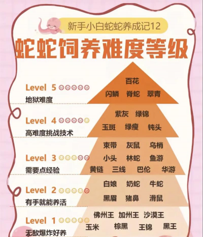 纯净水可以养花吗，了解水质影响，掌握正确方法